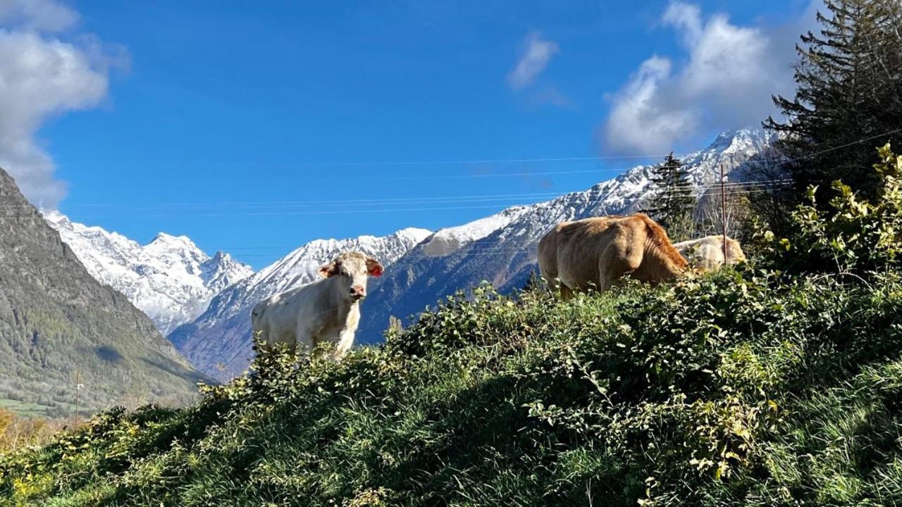 Superbe Appartement Aubessagne Buitenkant foto